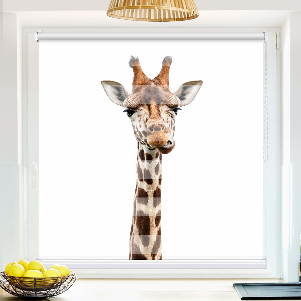 Klemm Doppelrollo "Giraffe" - ohne Bohren - Klemmfix - bis 150 cm Breite - Duo Rollo Fotodruck - La-Melle