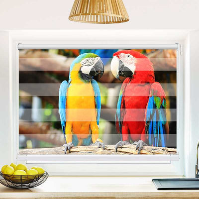 Klemmfix Doppelrollo Papageien | Klemm Doppelrollo