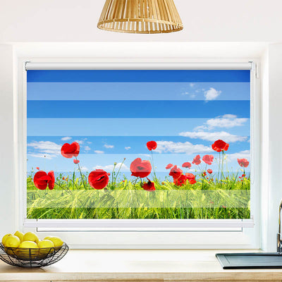 Fotorollo Mohnblumen Wiese