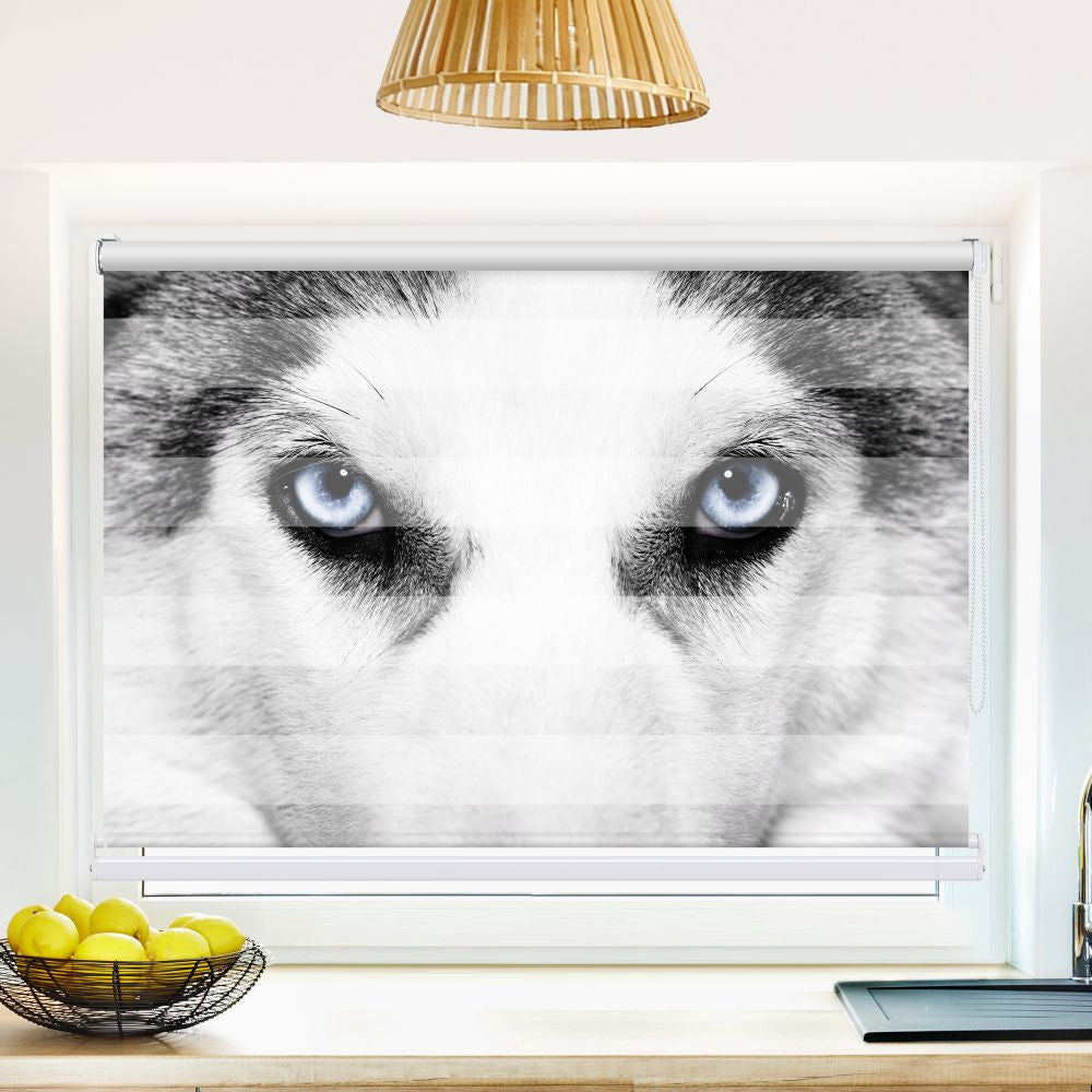 Klemm Doppelrollo "Wolf Augen" - ohne Bohren - Klemmfix - bis 150 cm Breite - Duo Rollo Fotodruck - La-Melle