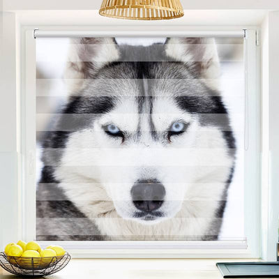 Klemmfix Doppelrollo Husky | Klemm Doppelrollo