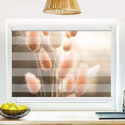 Fotorollo Flauschiges Hasenschwanzgras