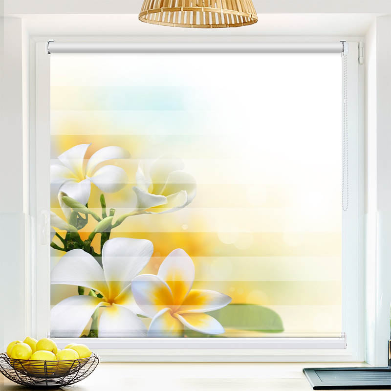 Fotorollo Frangipani