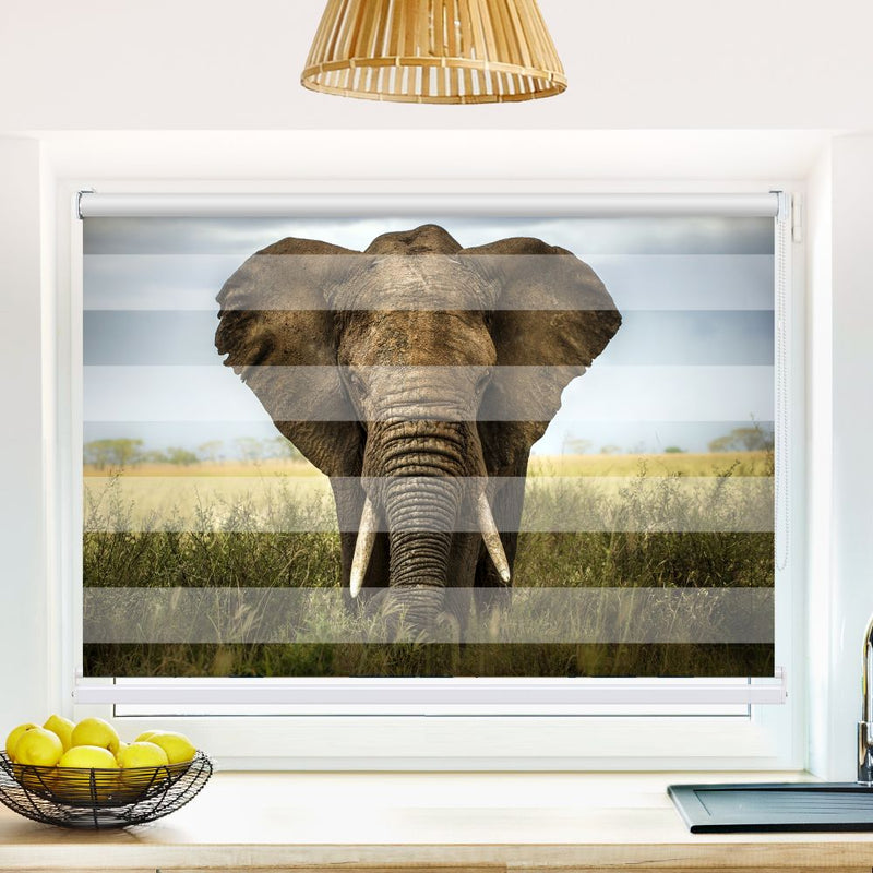 Klemm Doppelrollo "Elefant" - ohne Bohren - Klemmfix - bis 150 cm Breite - Duo Rollo Fotodruck - La-Melle