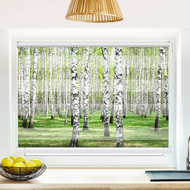 Fotorollo Birkenwald