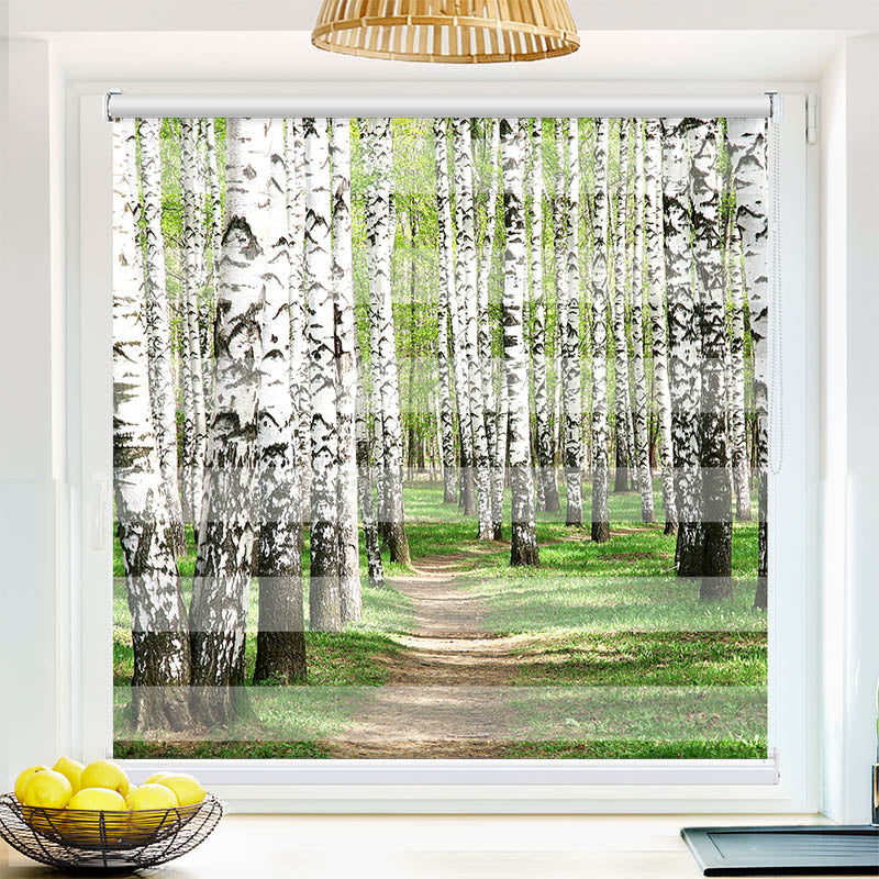 Fotorollo Birkenwald Weg