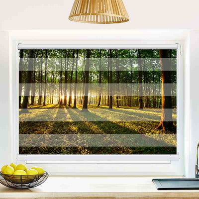 Klemmfix Doppelrollo Sonnenstrahlen im Wald | Klemm Doppelrollo