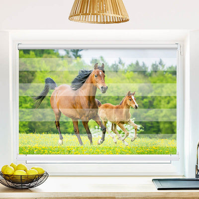 Fotorollo Pferd mit Fohlen