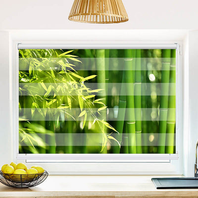 Fotorollo Bambus Strauch