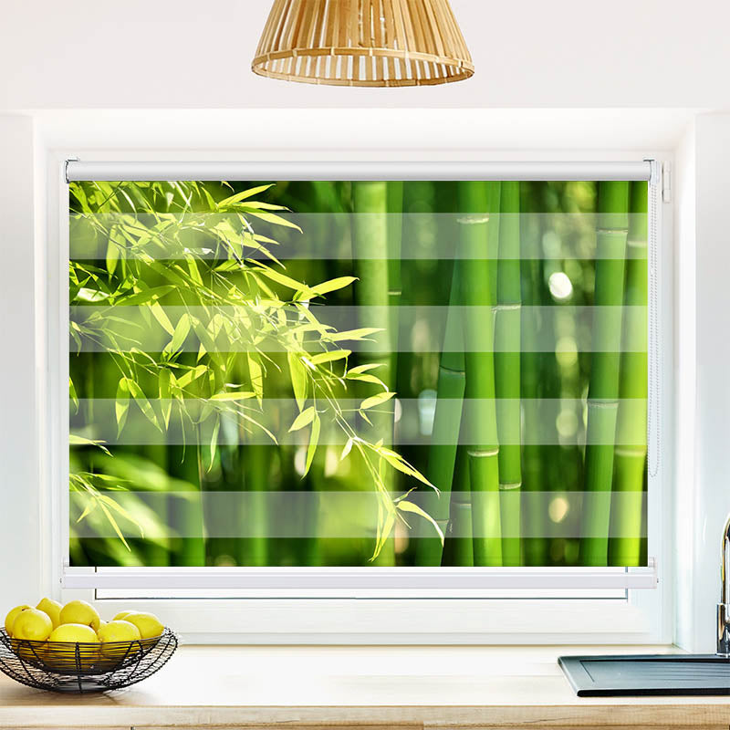 Fotorollo Bambus Strauch