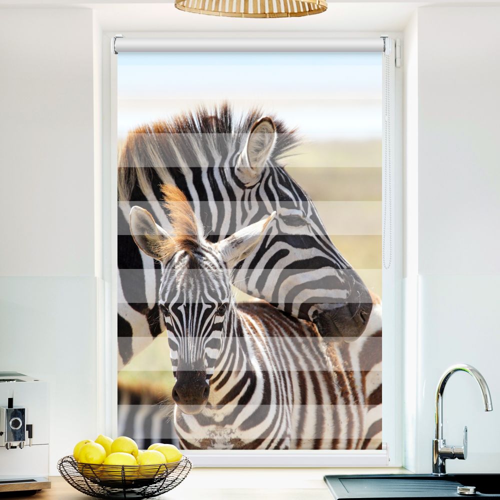 Klemm Doppelrollo "Zebras" - ohne Bohren - Klemmfix - bis 150 cm Breite - Duo Rollo Fotodruck - La-Melle