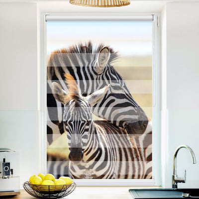 Klemm Doppelrollo Zebras - ohne Bohren - Klemmfix - bis 150 cm Breite - Duo Rollo Fotodruck - La-Melle