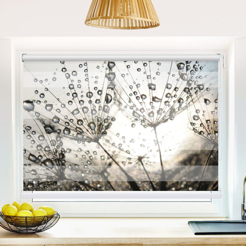 Klemm Doppelrollo "Pusteblume Tautropfen" - ohne Bohren - Klemmfix - bis 150 cm Breite - Duo Rollo Fotodruck - La-Melle