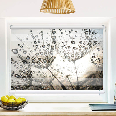 Fotorollo Pusteblume Tautropfen