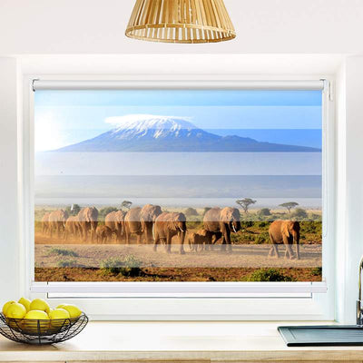 Klemmfix Doppelrollo Elefanten am Kilimandscharo | Klemm Doppelrollo