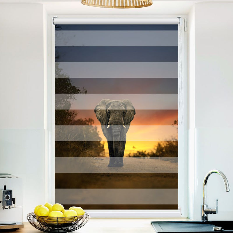 Klemm Doppelrollo "Elefant Auf Der Strasse" - ohne Bohren - Klemmfix - bis 150 cm Breite - Duo Rollo Fotodruck - La-Melle