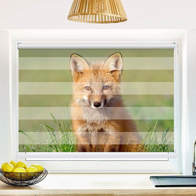 Klemmfix Doppelrollo Eulen | Klemm Doppelrollo