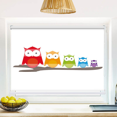 Fotorollo Bunte Eulen