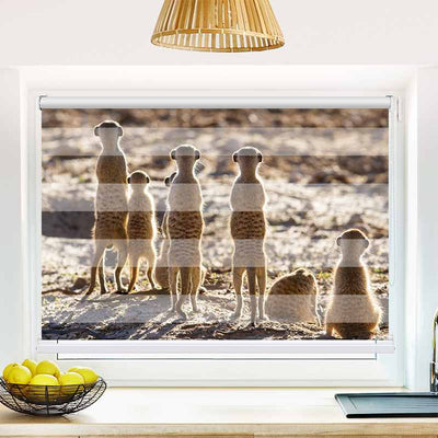 Klemmfix Doppelrollo Erdmaennchen | Klemm Doppelrollo