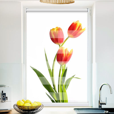 Klemmfix Doppelrollo Tulpen | Klemm Doppelrollo