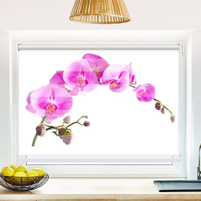 Klemmfix Doppelrollo Orchidee | Klemm Doppelrollo