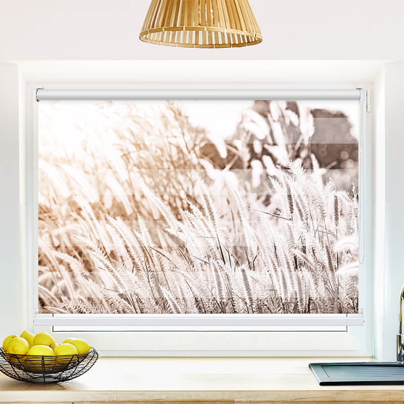 Fotorollo Pampas Gras