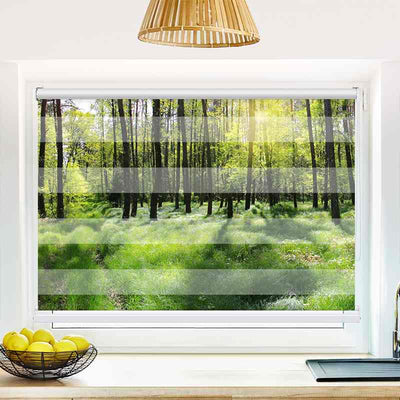 Klemmfix Doppelrollo Wald Panorama | Klemm Doppelrollo