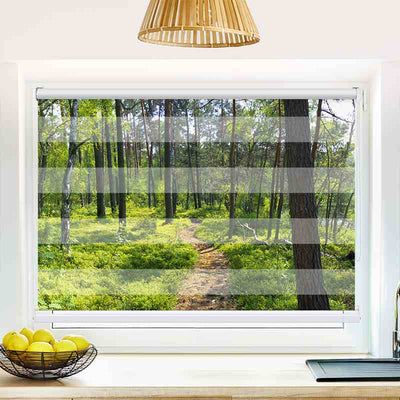 Klemmfix Doppelrollo Wald Sonnenstrahlen Panorama | Klemm Doppelrollo
