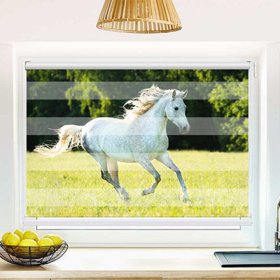 Klemmfix Doppelrollo Weisses Pferd im Gras | Klemm Doppelrollo