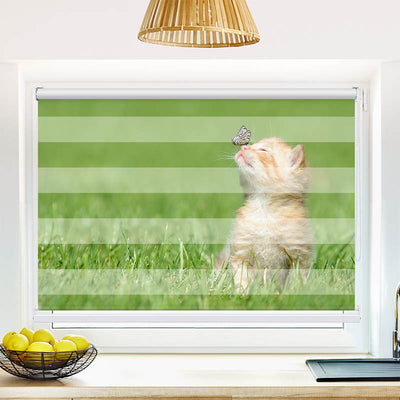 Fotorollo Kitten und Schmetterling