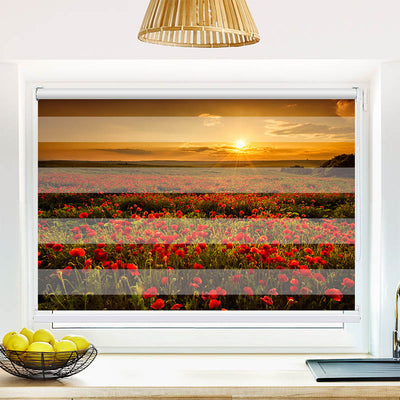 Fotorollo Mohnblumen Sonnenuntergang