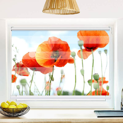 Klemmfix Doppelrollo Mohnblumen Panorama | Klemm Doppelrollo