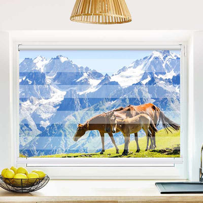 Klemmfix Doppelrollo Pferde auf der Alm | Klemm Doppelrollo