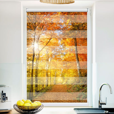 Klemm Doppelrollo Waldweg Herbst - ohne Bohren - Klemmfix - bis 150 cm Breite - Duo Rollo Fotodruck - La-Melle