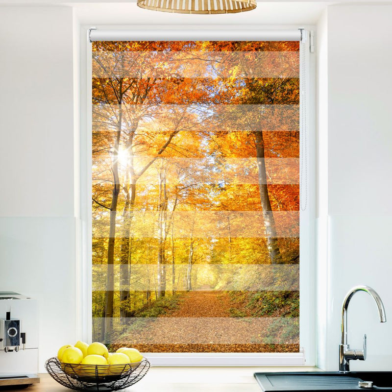Klemm Doppelrollo "Waldweg Herbst" - ohne Bohren - Klemmfix - bis 150 cm Breite - Duo Rollo Fotodruck - La-Melle