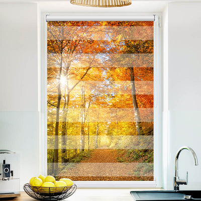 Fotorollo Waldweg Herbst