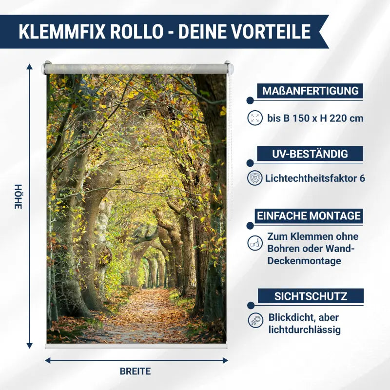 Eigenschaften des Klemmfix Rollo