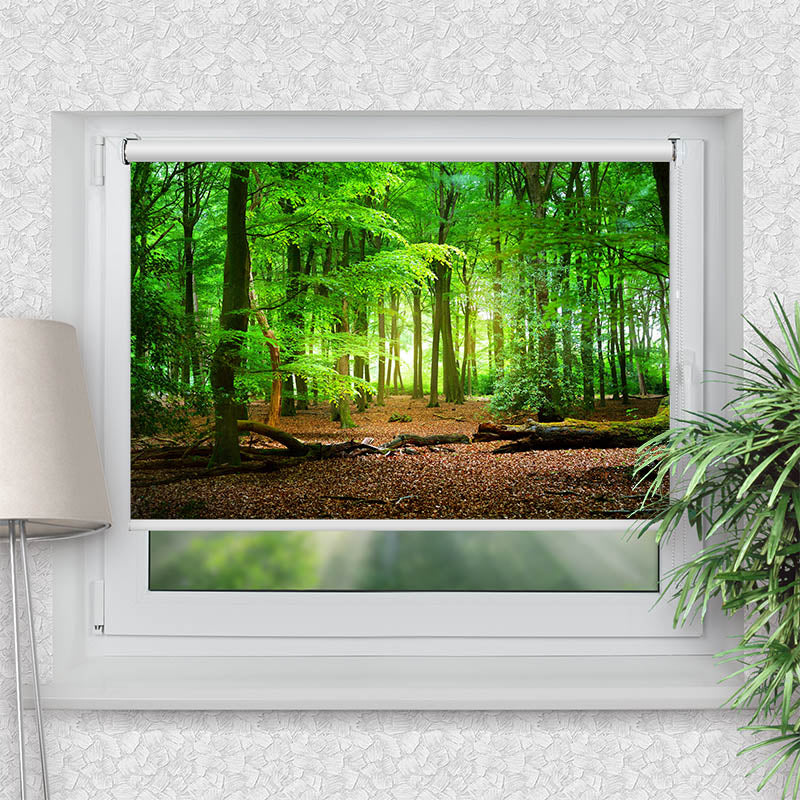 Klemmfix Rollo Wald mit Eichenlaub