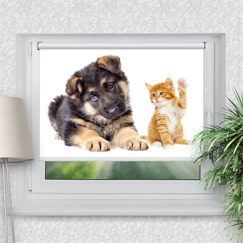 Klemmfix Rollo Welpe und Kitten