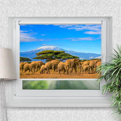 Klemmfix Rollo Elefanten am Kilimandscharo