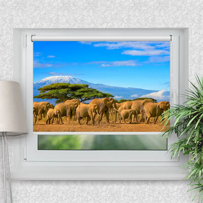 Klemmrollo Elefanten Am Kilimandscharo