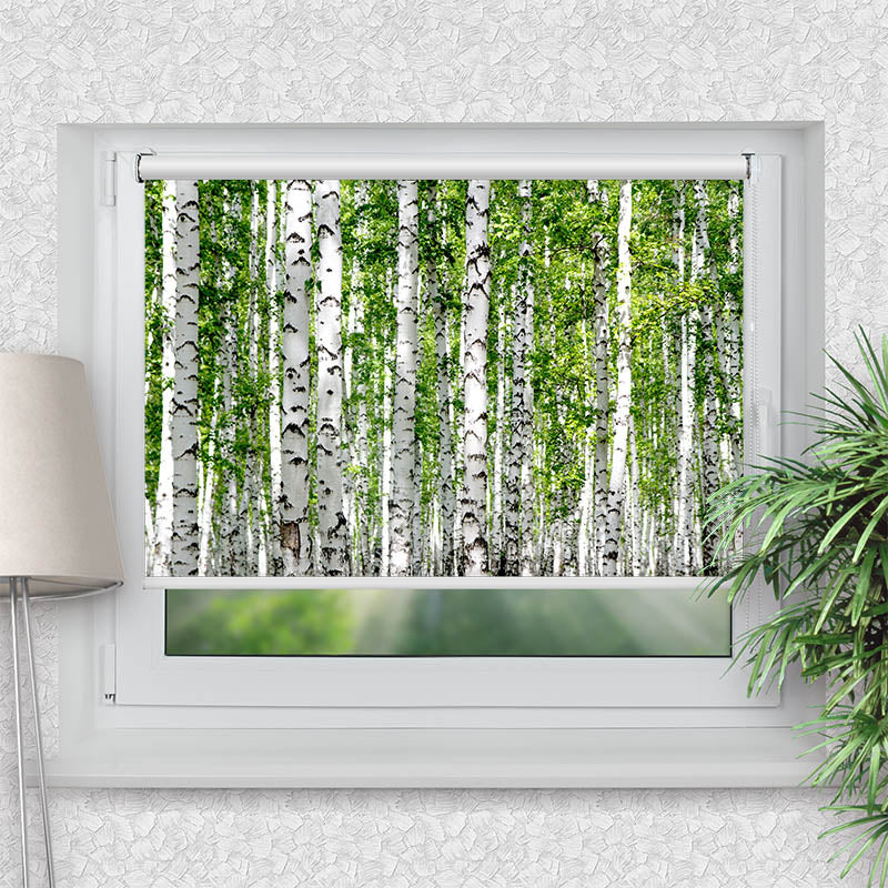 Klemmfix Rollo Birkenwald