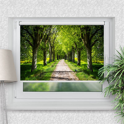 Klemmfix Rollo Schoene Allee