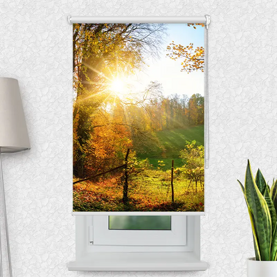 Klemmfix Rollo Herbstlandschlaft | Motiv-Klemmrollo