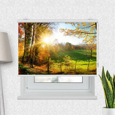 Klemmfix Rollo Herbstlandschlaft | Motiv-Klemmrollo
