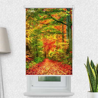 Klemmfix Rollo Weg Im Herbstwald | Motiv-Klemmrollo