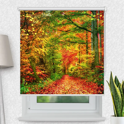 Klemmfix Rollo Weg Im Herbstwald | Motiv-Klemmrollo