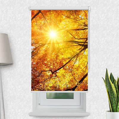 Klemmfix Rollo Baumkrone Herbst Sonnenschein | Motiv-Klemmrollo