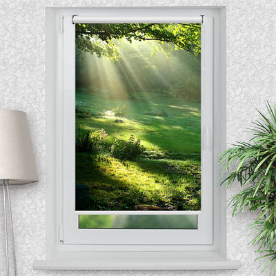 Klemmfix Rollo Lichtung im Wald