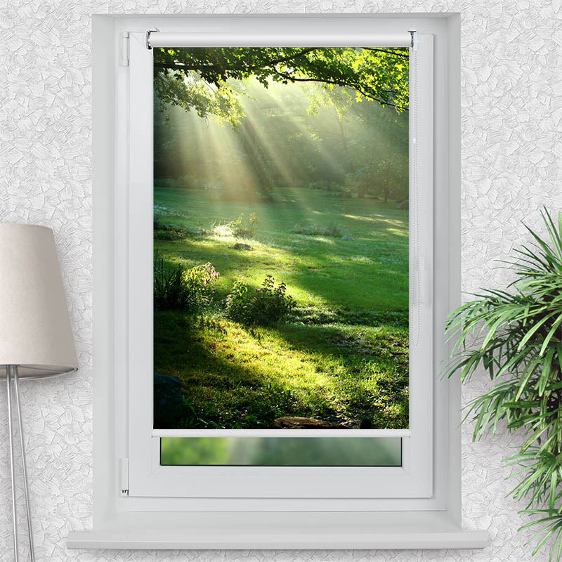 Klemmfix Rollo Lichtung im Wald